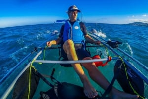 Fuerteventura: Transparent Electric Kayaks with Guide