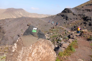Fuerteventura Escursione sul monte sacro El Cardon