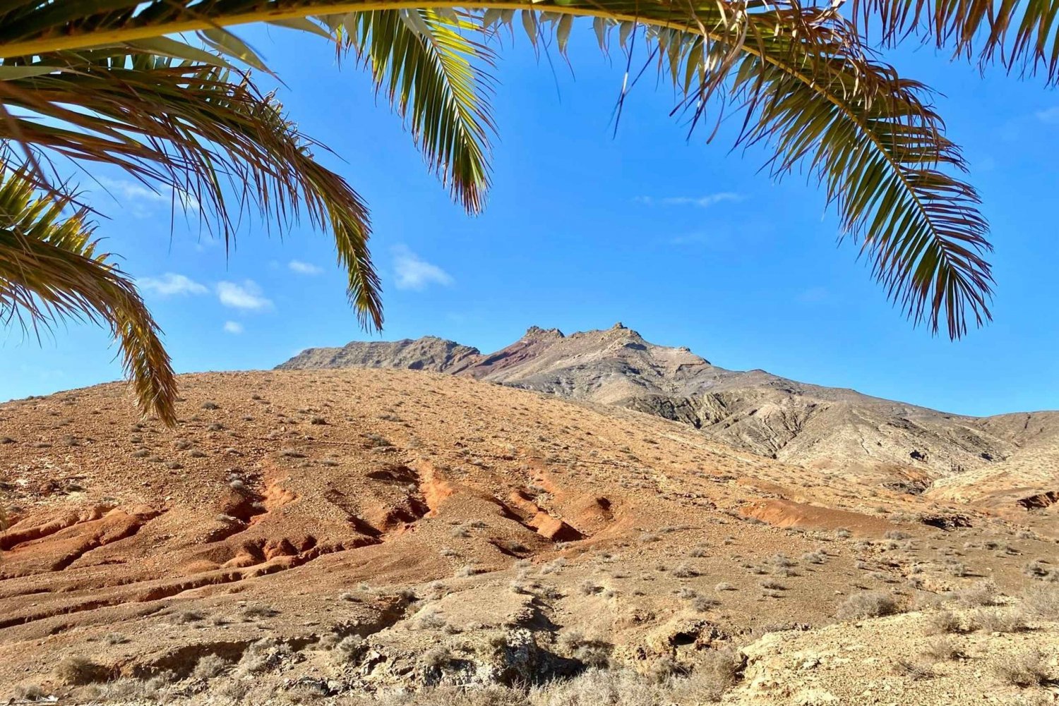 Fuerteventura Hiking up the holy mountain El Cardon