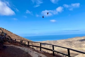 Fuerteventura Hiking up the holy mountain El Cardon