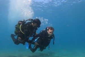 Fuerteventura: Introductory Dive in La Lajita with Pickup