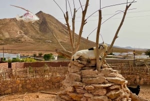 Fuerteventura: Island Highlights Guided VIP Sightseeing Tour