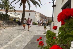 Fuerteventura: Island Highlights Guided VIP Sightseeing Tour