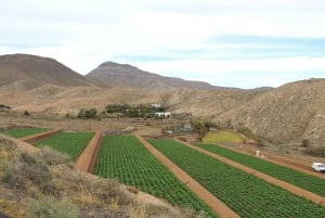 Fuerteventura: Island Highlights Guided VIP Sightseeing Tour