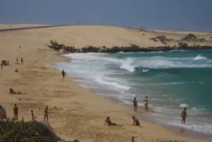 Fuerteventura: Island Tour by Minibus