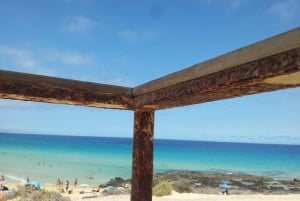 Fuerteventura: Island Tour by Minibus