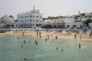 Fuerteventura: Island Tour by Minibus