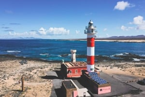 Fuerteventura: Island Tour by Minibus