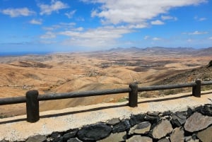 Fuerteventura: Island Tour by Minibus