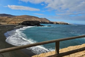 Fuerteventura: Island Tour by Minibus