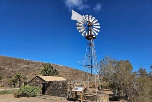 Fuerteventura: Island Tour by Minibus