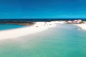 Fuerteventura: Excursão à ilha em minibus