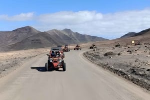 Fuerteventura: Jandía Natural Park & The Puertito Buggy Tour