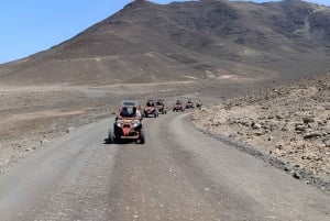 Fuerteventura: Jandía Natural Park & The Puertito Buggy Tour