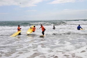 Fuerteventura: Learn to Surf Lesson