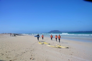 Fuerteventura: Learn to Surf Lesson