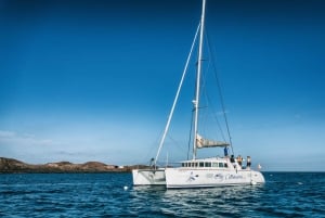 Fuerteventura: Lobos Island Oby Catamaran Cruise