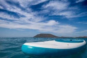 Fuerteventura: Lobos Island Oby Catamaran Cruise