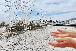 Fuerteventura: Lobos Island, Popcorn Beach, & Dunes Tour