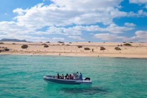 Fuerteventura: Lobos Island Round-Trip Speedboat Ticket