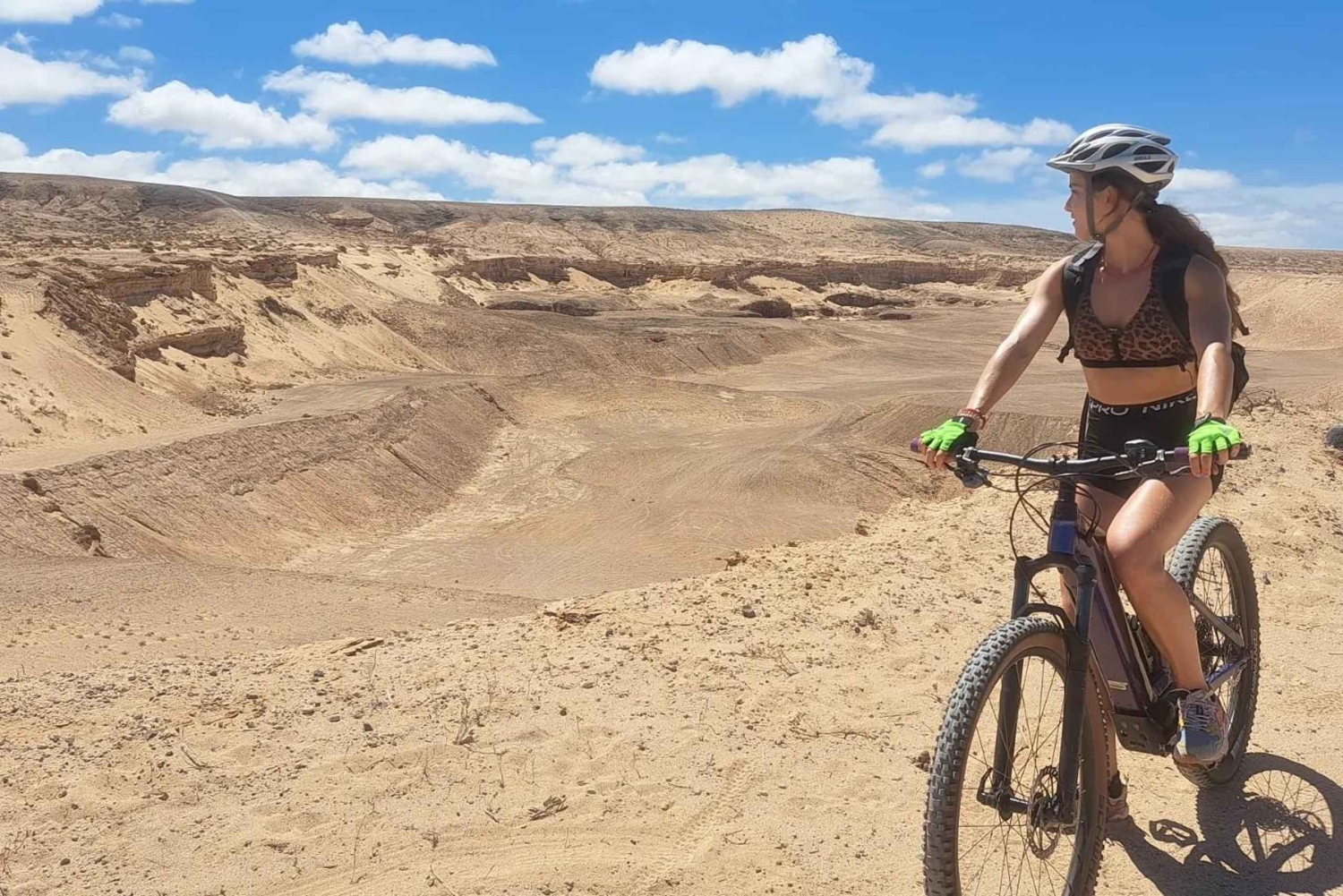 フェルテベントゥラ ノルテ：バランコ E バイク ツアー