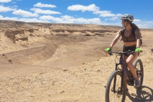 フェルテベントゥラ ノルテ：バランコ E バイク ツアー