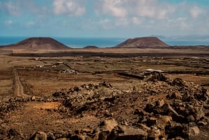 Northern Fuerteventura: 4-hour tour for cruise passengers – small group (max 6)