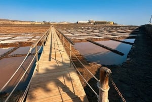 Fuerteventura Centro: for cruises with photo service from Puerto del Rosario