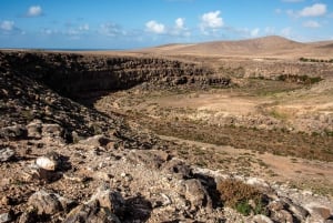 Fuerteventura Centro: for cruises with photo service from Puerto del Rosario