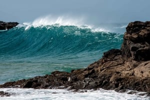 Fuerteventura Centro: for cruises with photo service from Puerto del Rosario