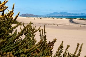 Fuerteventura North: for cruises with photo service from Puerto del Rosario