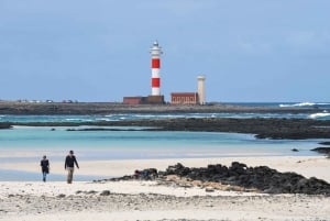 Fuerteventura North: for cruises with photo service from Puerto del Rosario