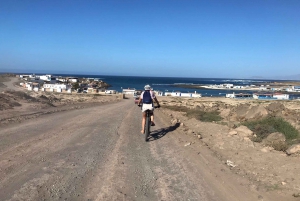 Fuerteventura North: PREMIUM E-bike guided tour