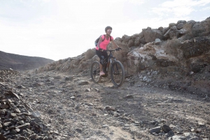 Fuerteventura North: PREMIUM E-bike guided tour