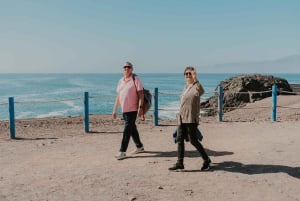 Da Corralejo: Scopri il Nord di Fuerteventura - piccolo gruppo (max 6 pax)