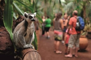 Fuerteventura: Oasis Wildlife Entry Ticket