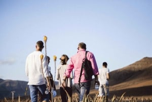 Fuerteventura Organic Farm Guided Tour w/ optional lunch