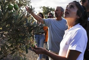 Fuerteventura Organic Farm Guided Tour w/ optional lunch