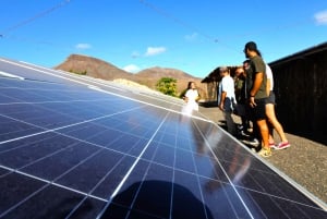 Fuerteventura Organic Farm Guided Tour w/ optional lunch