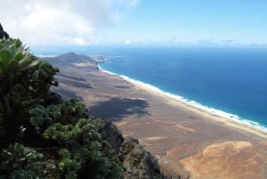 Fuerteventura: Pico de la Zarza Tour