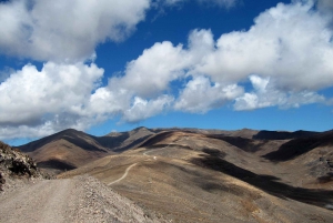 Fuerteventura: Pico de la Zarza Tour