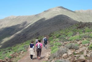 Fuerteventura: Pico de la Zarza Tour