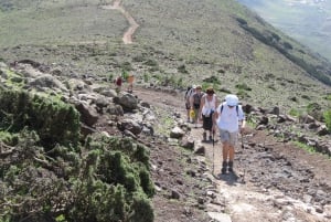 Fuerteventura: Pico de la Zarza Tour