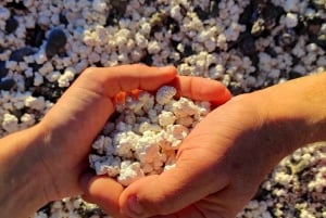 Popcorn Beach, Isla de Lobos y Dunas: ¡Popcorn Beach!