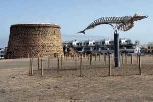 Fuerteventura: Grand Tour pela ilha particular. TODOS os destaques!