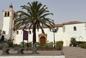 Fuerteventura: Grand Tour pela ilha particular. TODOS os destaques!