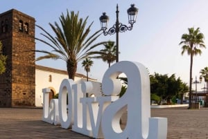 Cruceristas Fuerteventura: Dunas Corralejo e Pueblo La Oliva