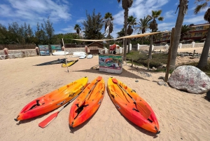 Fuerteventura: Rent a Kayak & discover Costa Calma's Coast!