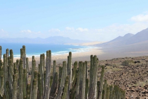 Fuerteventura: Safari Cofete