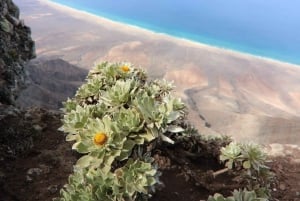 Fuerteventura: Safari Cofete